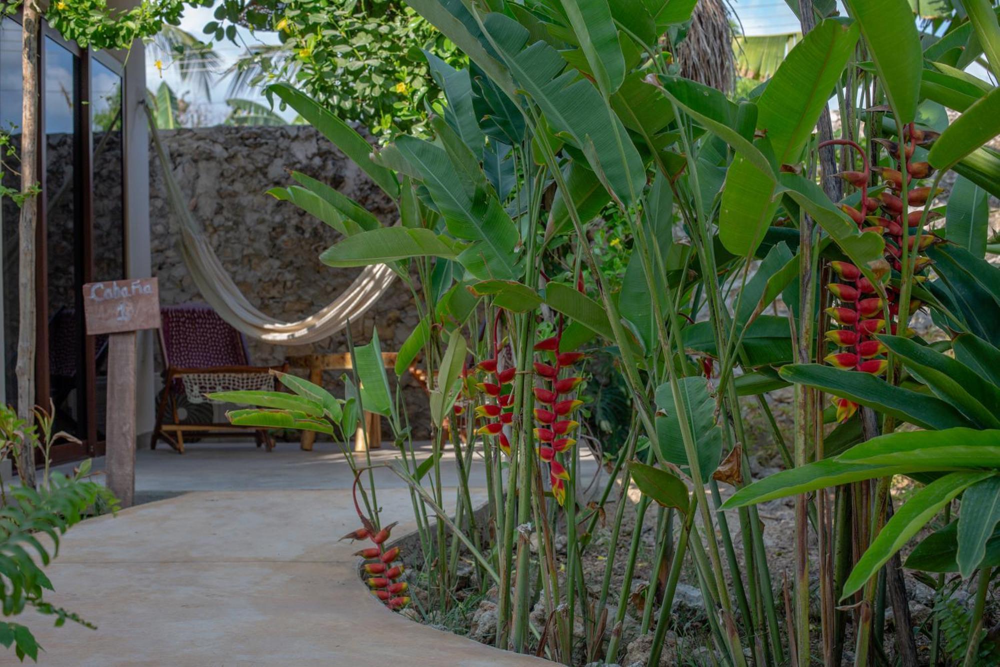 Casa Cactus Buenavista Bacalar